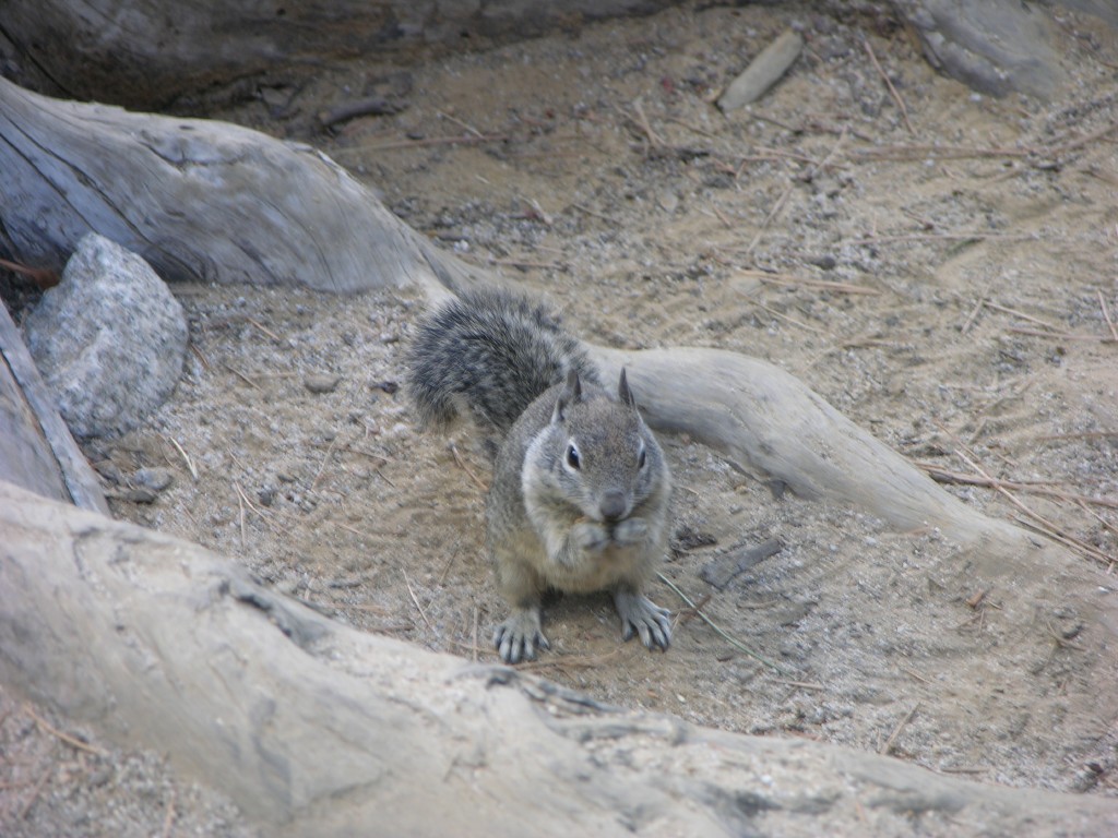 dscn2036.jpg
