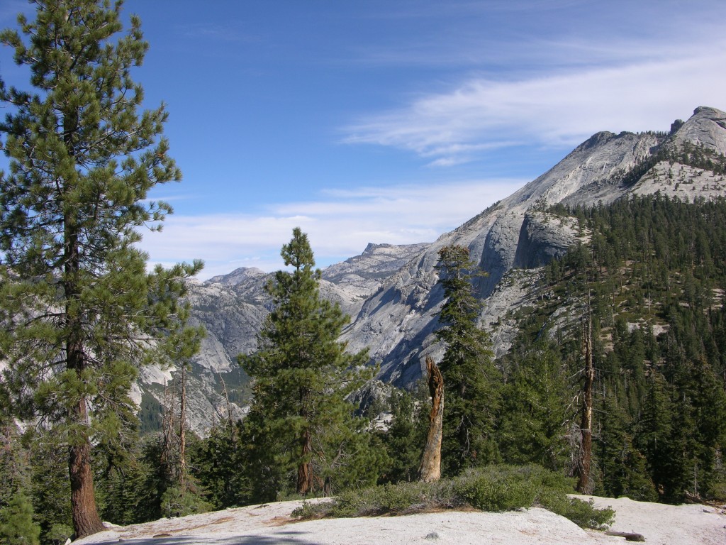 dscn2038.jpg
