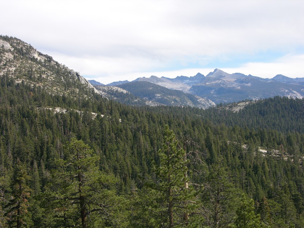 dscn2039.jpg