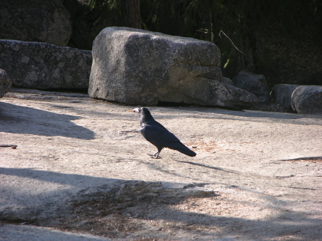 dscn2058.jpg