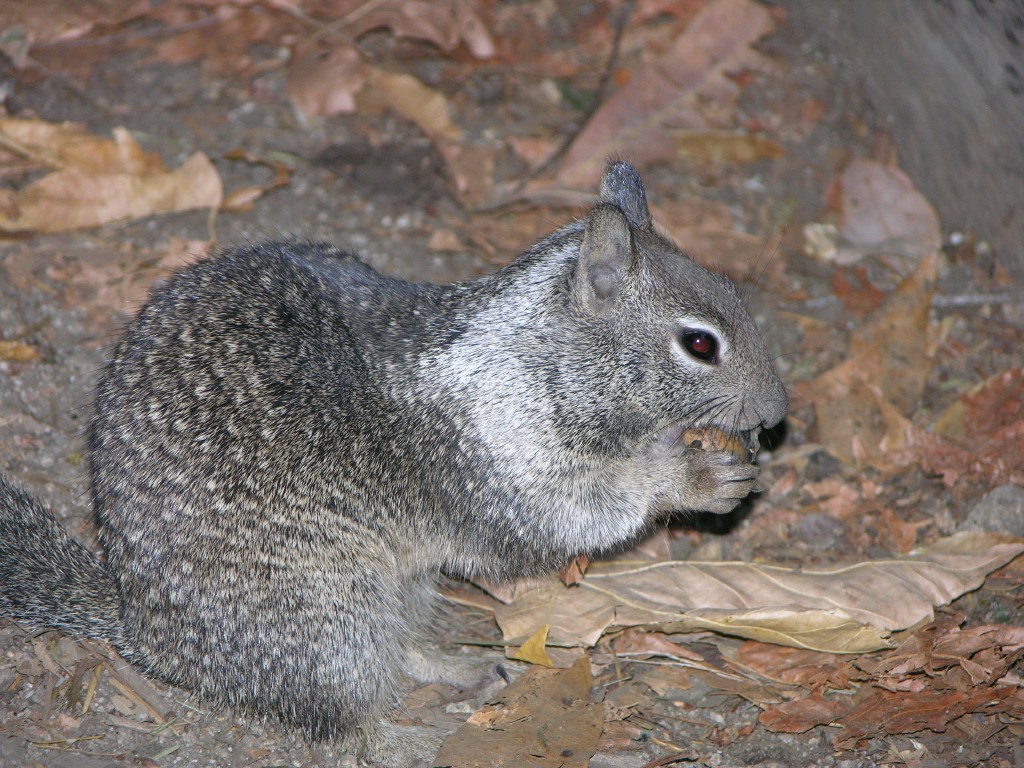 dscn2068.jpg