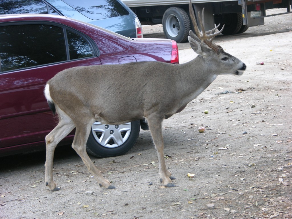 dscn2075.jpg