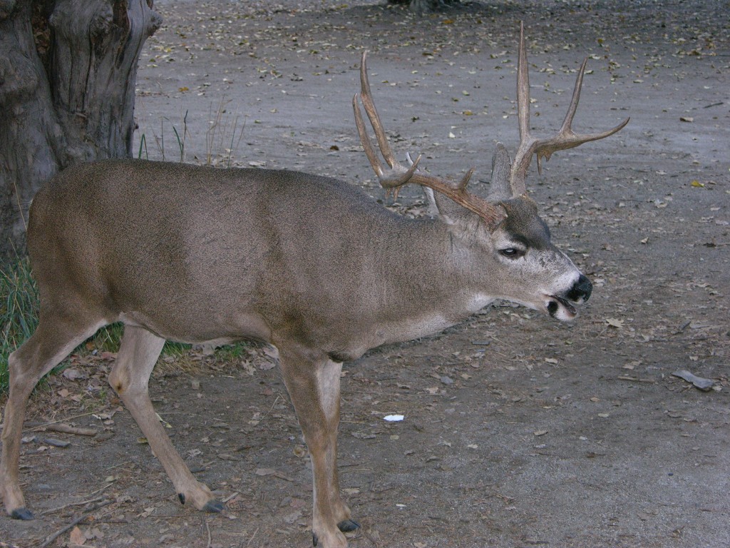 dscn2081.jpg