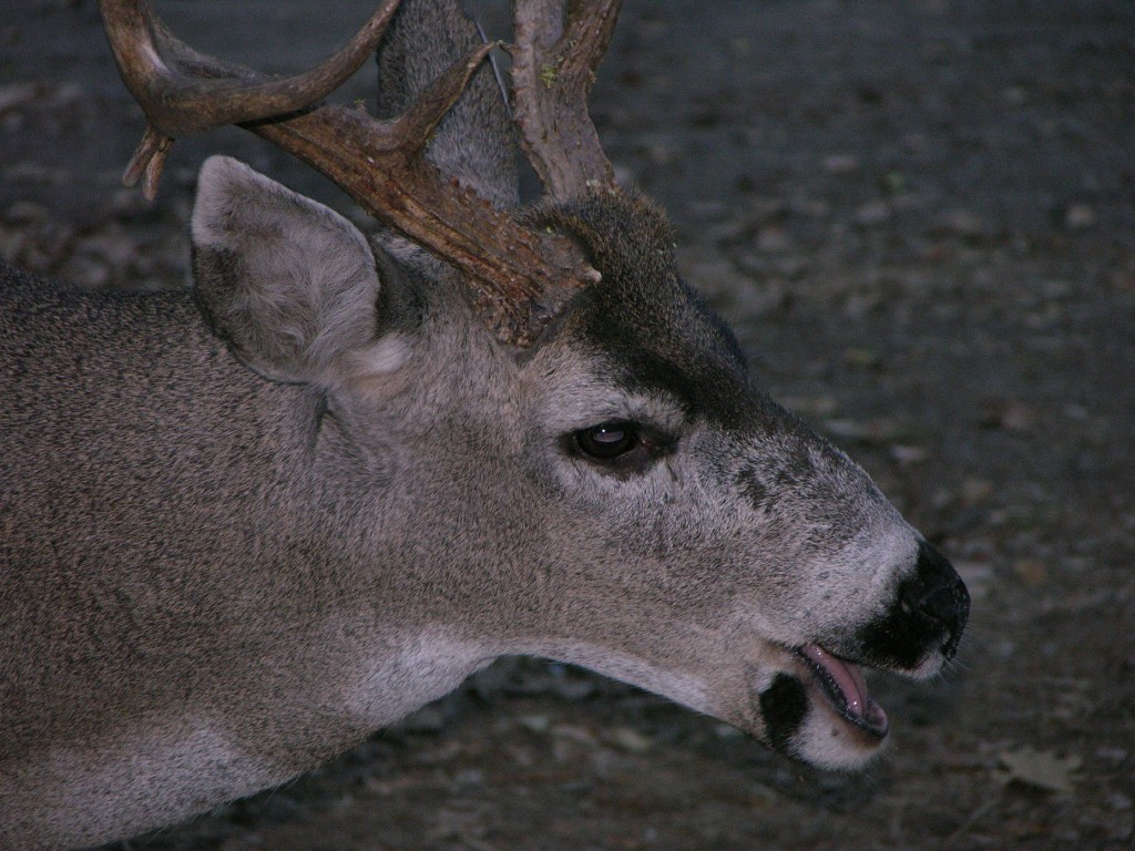 dscn2082.jpg