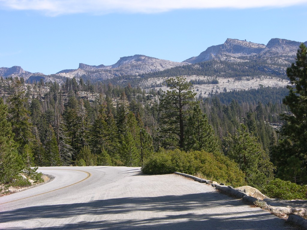 dscn2083.jpg