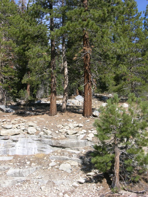dscn2084.jpg