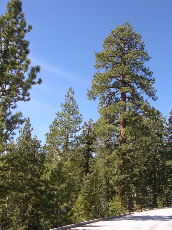 dscn2085.jpg