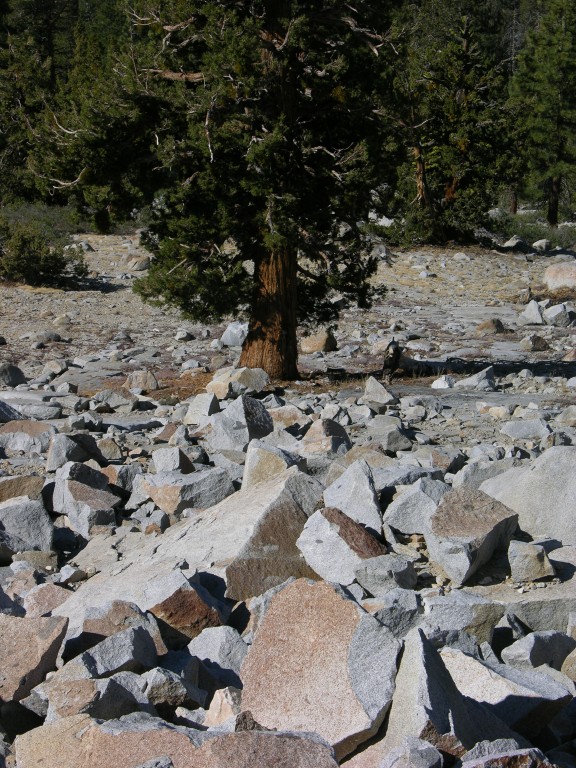 dscn2086.jpg