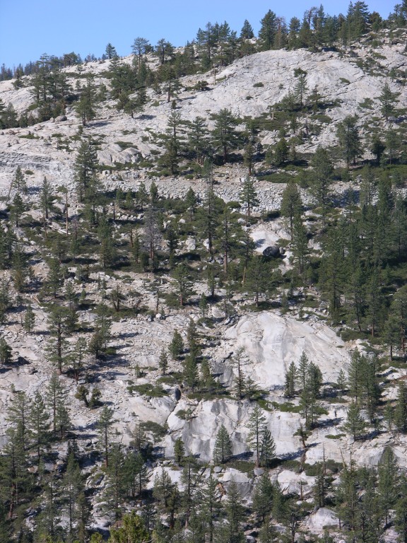 dscn2087.jpg
