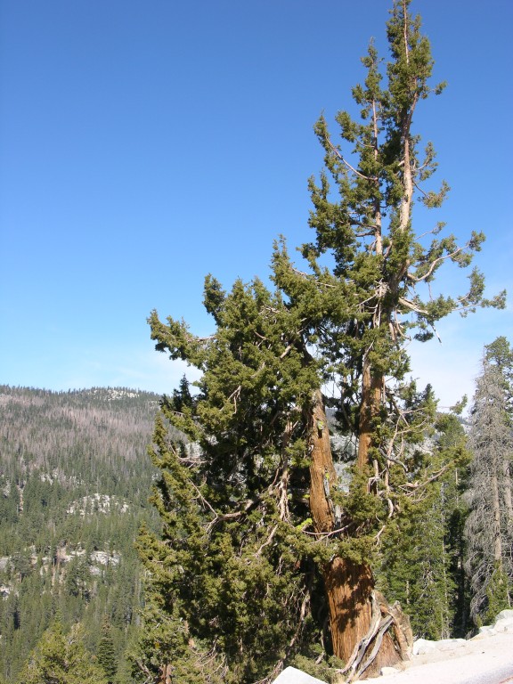 dscn2089.jpg