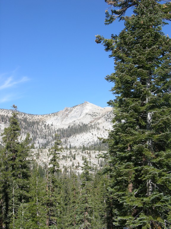 dscn2098.jpg