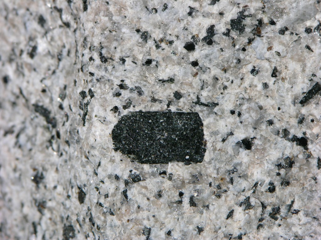 dscn2100.jpg