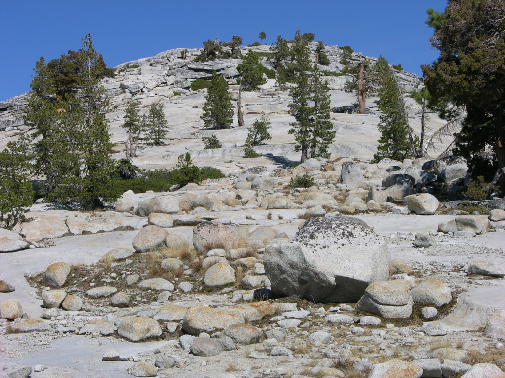 dscn2101.jpg