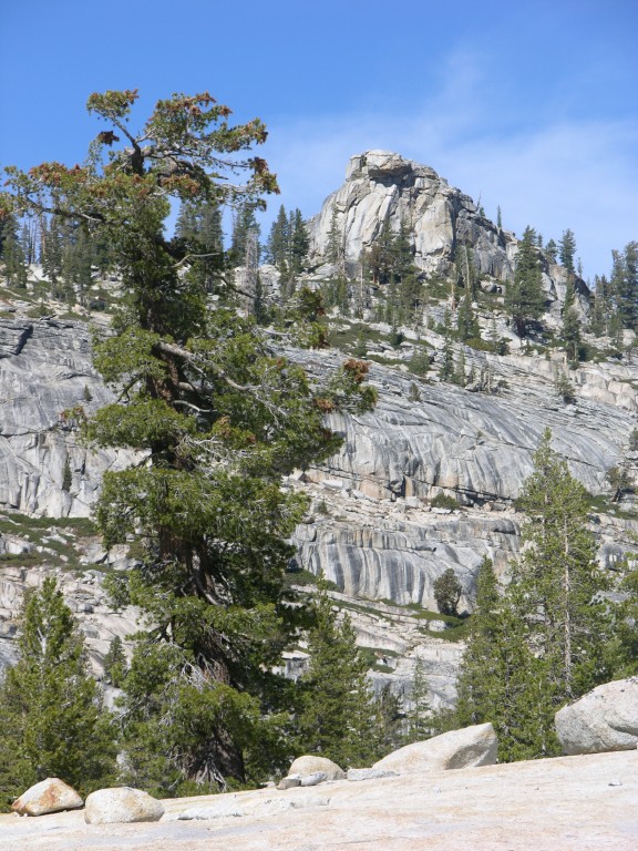 dscn2102.jpg
