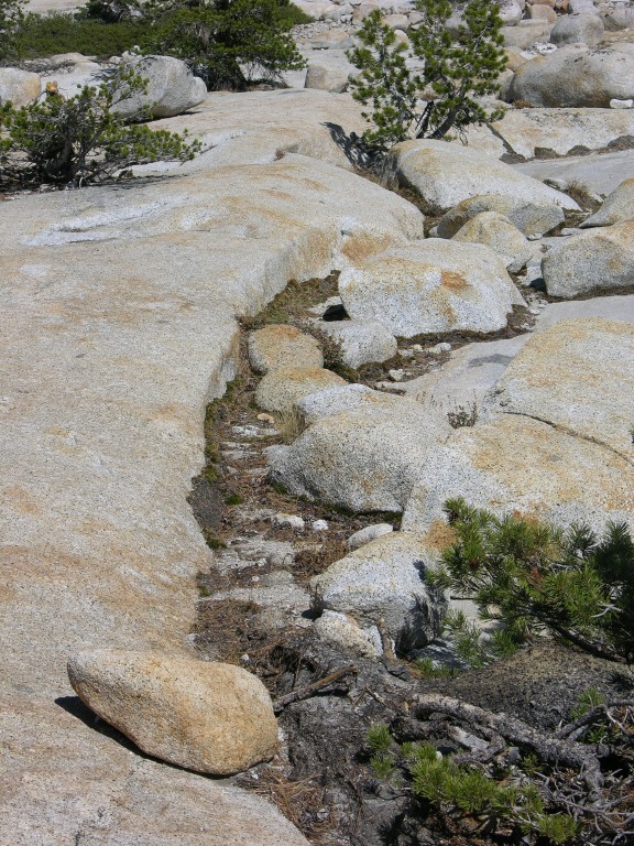 dscn2103.jpg