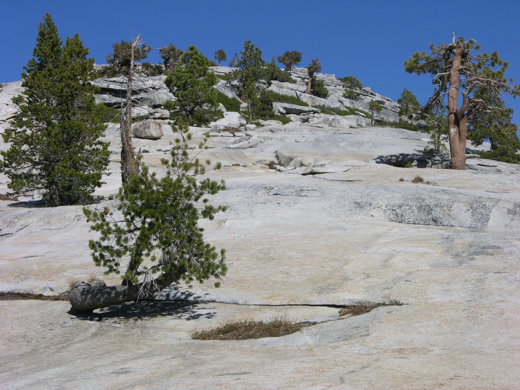 dscn2105.jpg