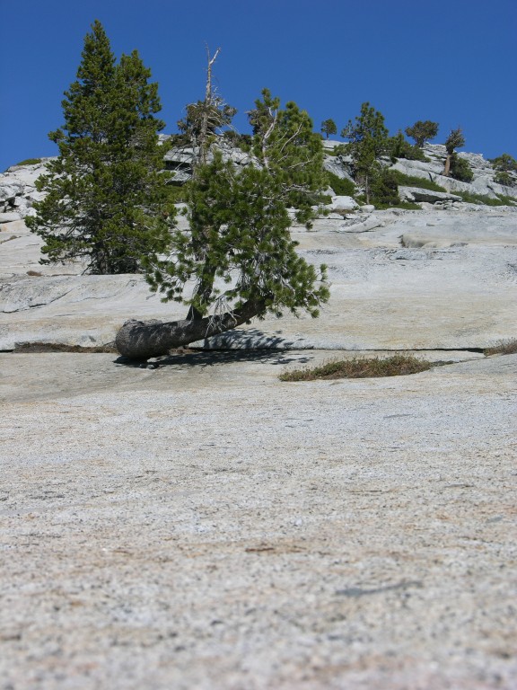 dscn2106.jpg