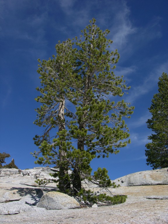 dscn2108.jpg