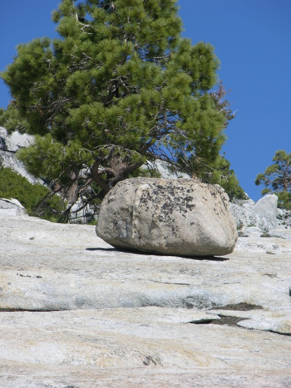 dscn2109.jpg