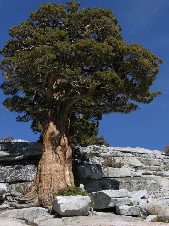 dscn2110.jpg