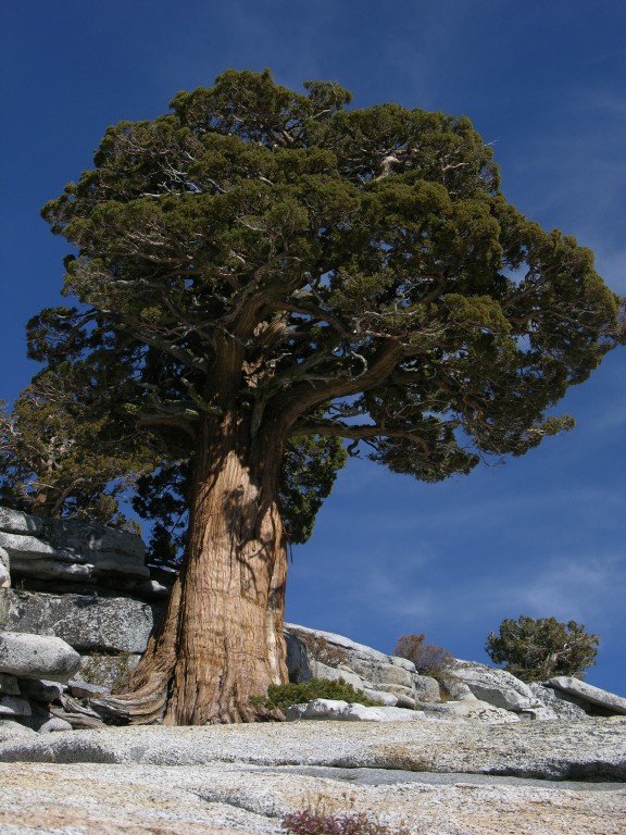 dscn2111.jpg