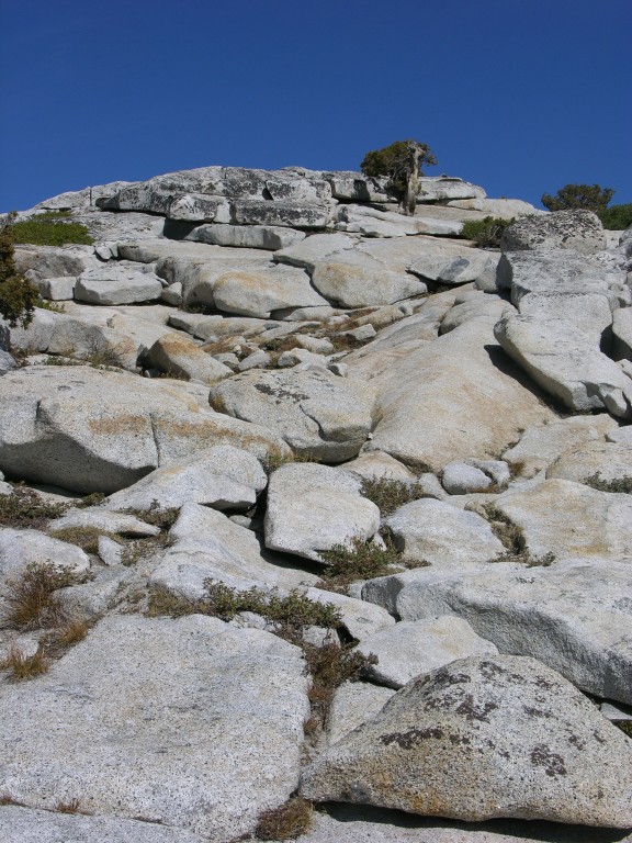 dscn2113.jpg