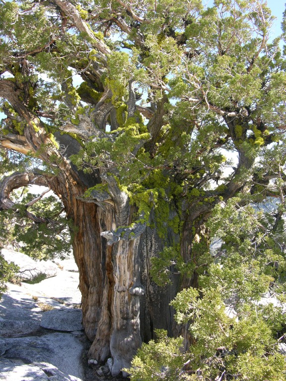dscn2114.jpg