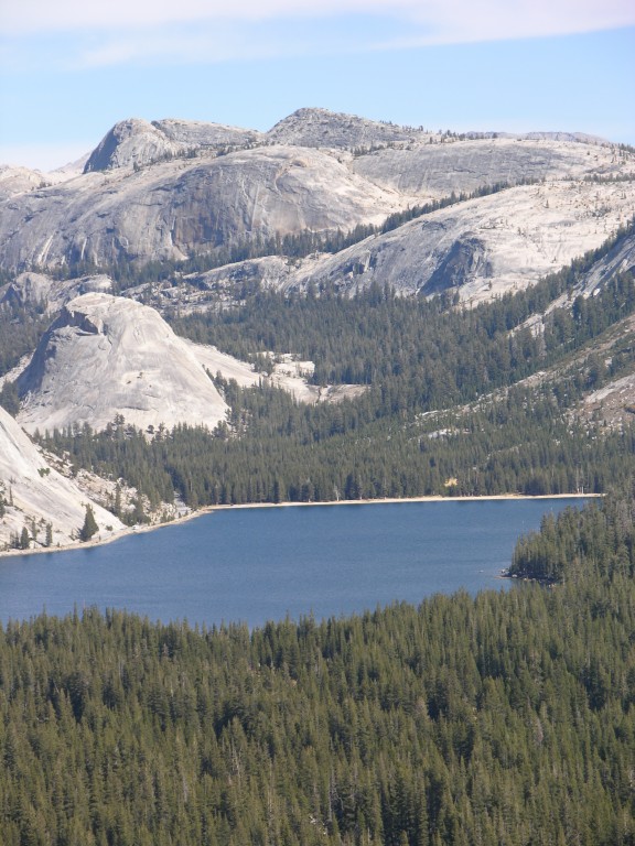 dscn2117.jpg