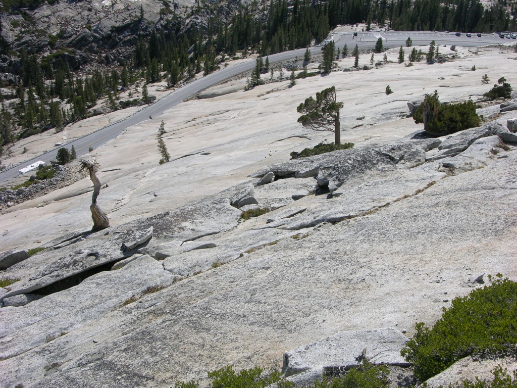 dscn2119.jpg