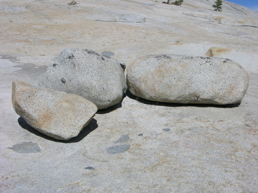 dscn2120.jpg