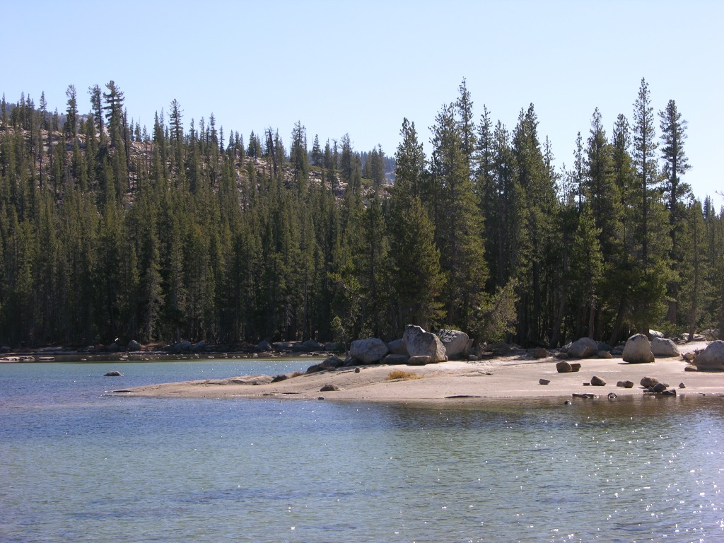 dscn2121.jpg