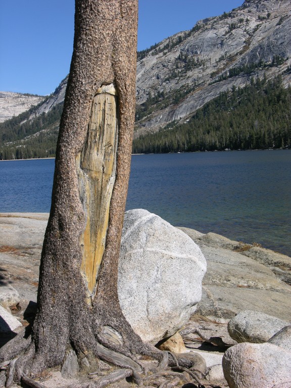 dscn2123.jpg