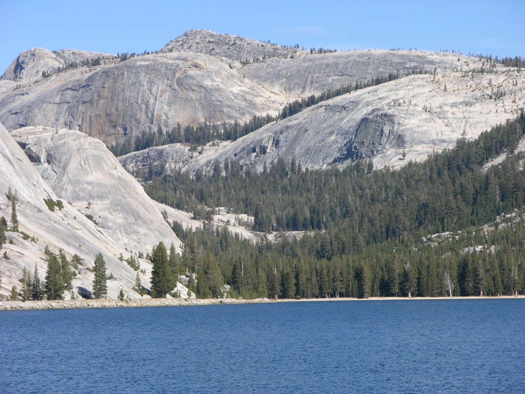 dscn2124.jpg
