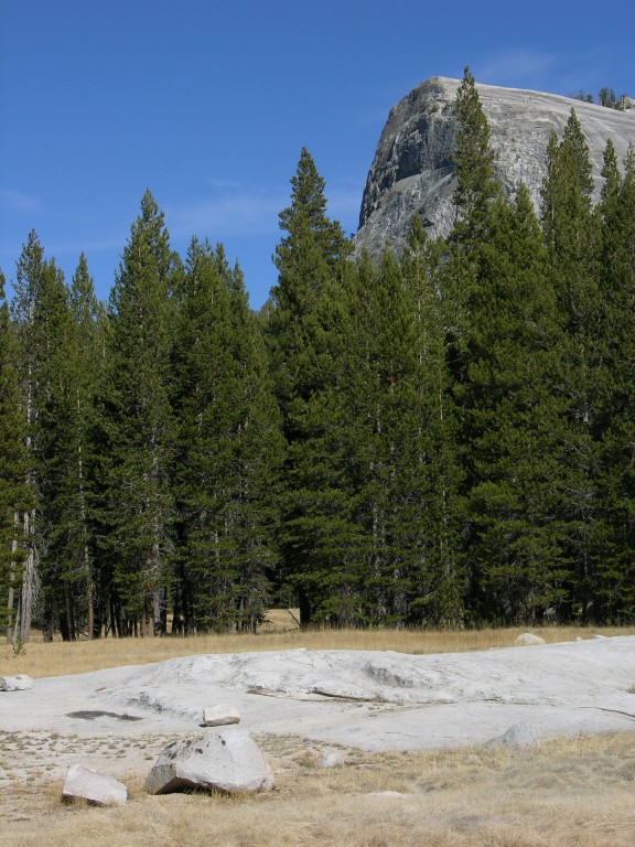 dscn2127.jpg
