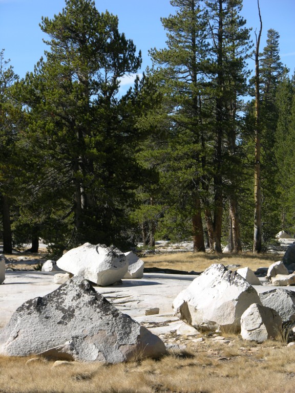 dscn2128.jpg