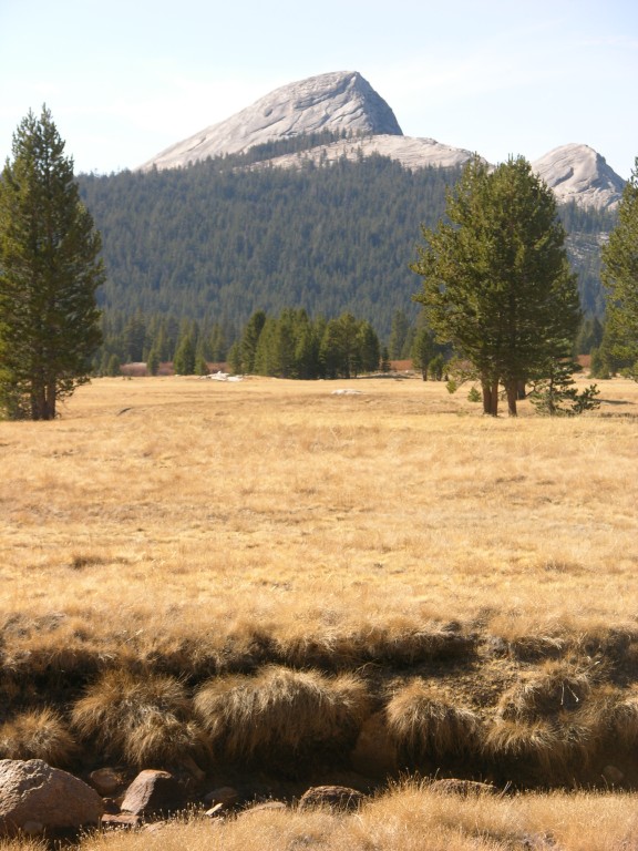dscn2129.jpg