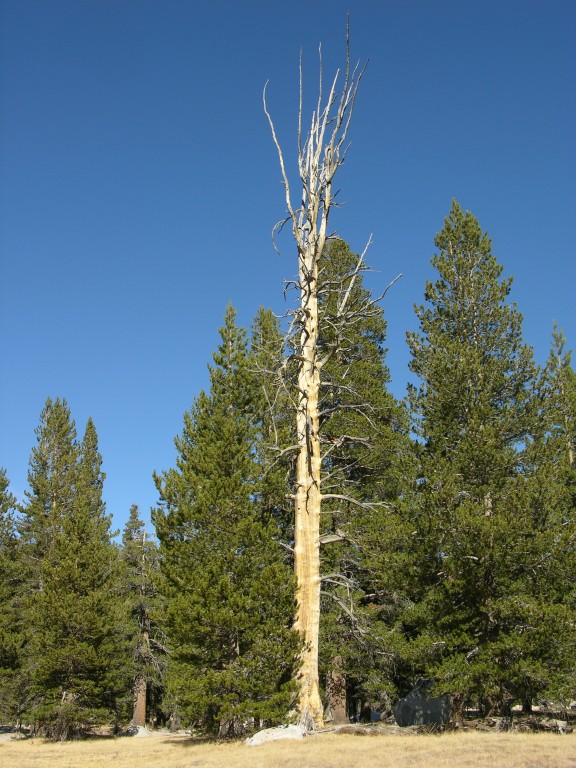 dscn2130.jpg