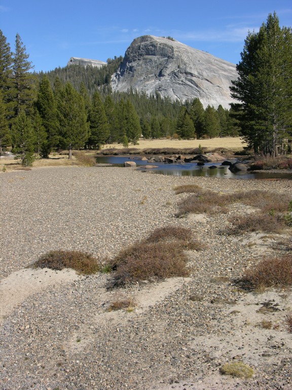 dscn2133.jpg