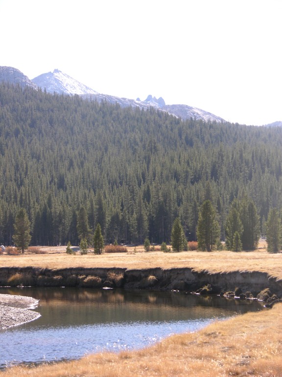 dscn2136.jpg