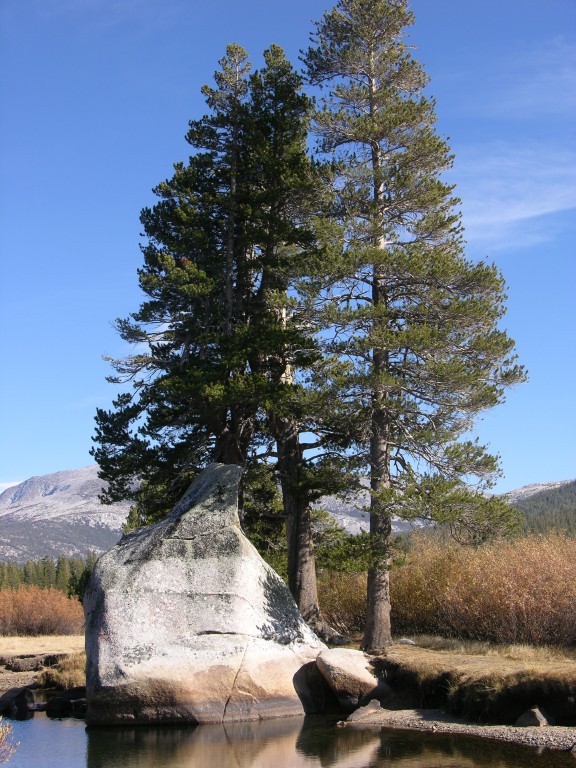 dscn2137.jpg