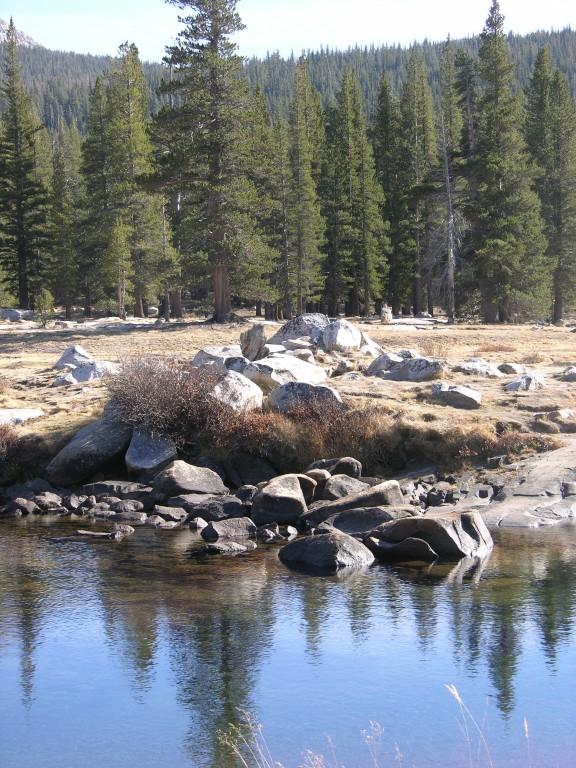 dscn2141.jpg