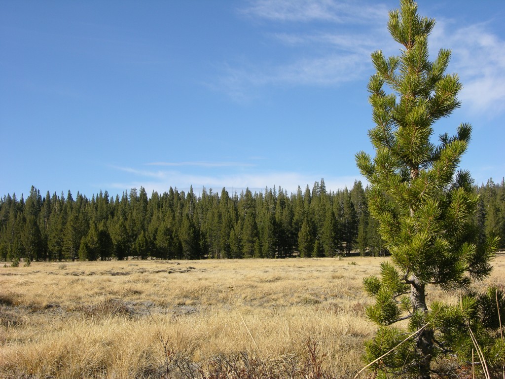 dscn2142.jpg