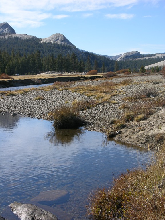 dscn2143.jpg