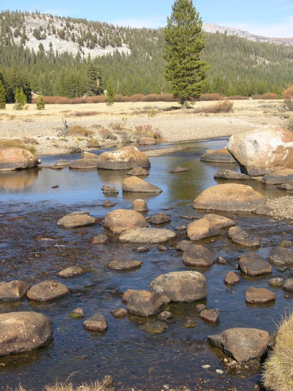 dscn2144.jpg