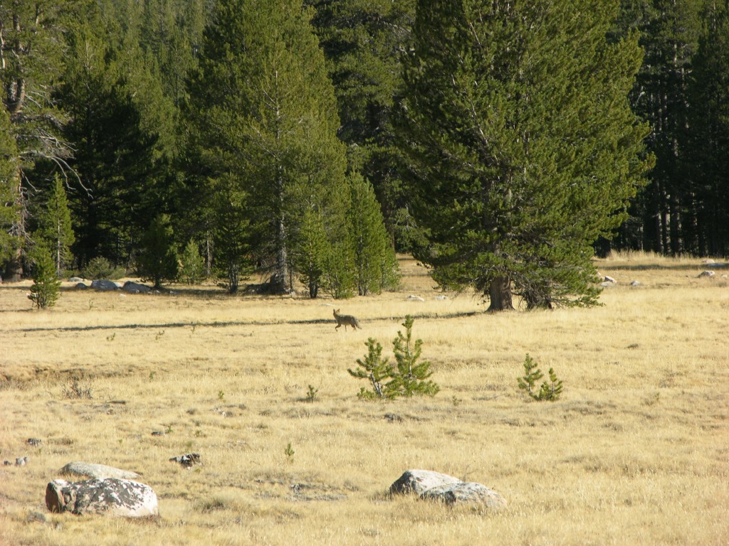 dscn2146.jpg