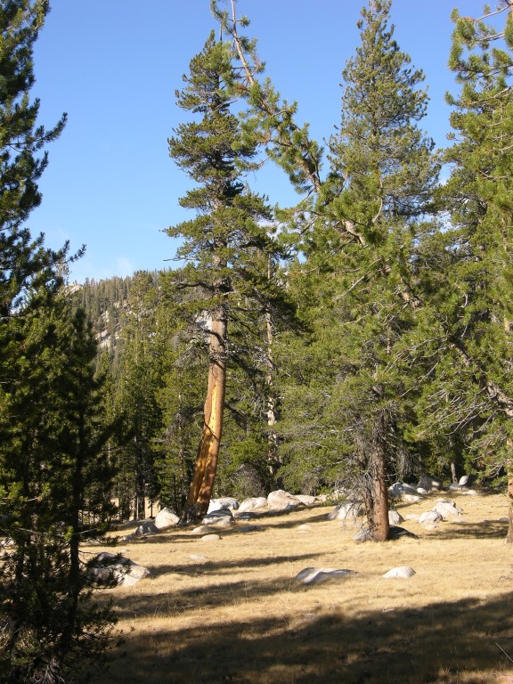 dscn2148.jpg