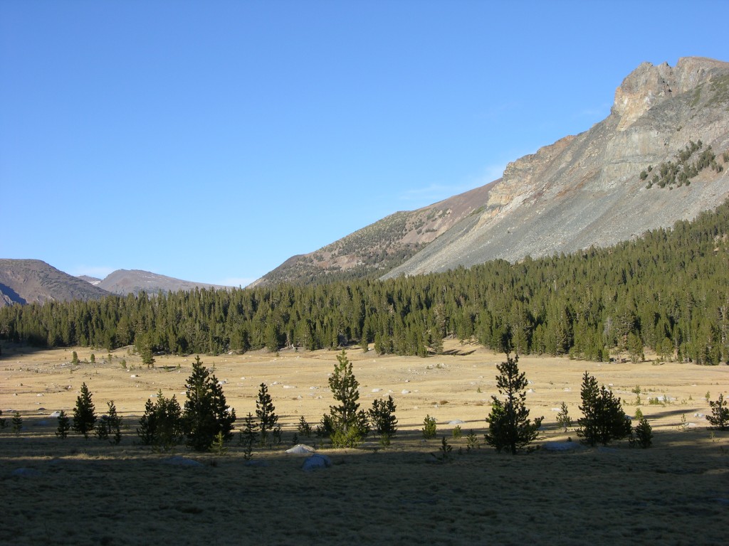 dscn2150.jpg