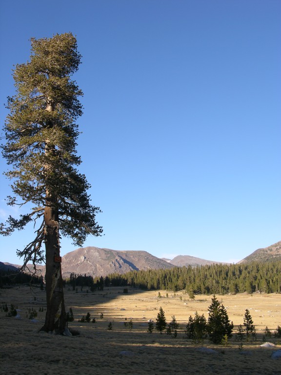 dscn2151.jpg