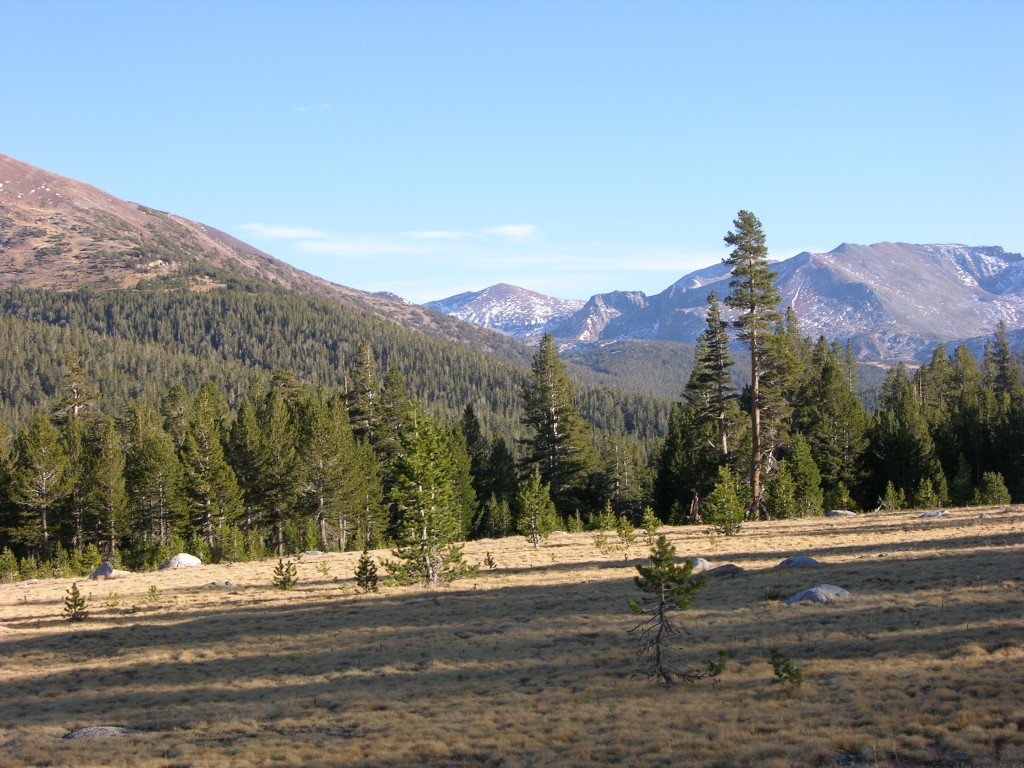 dscn2152.jpg