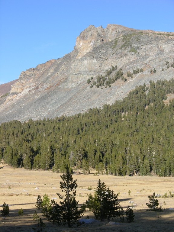 dscn2153.jpg
